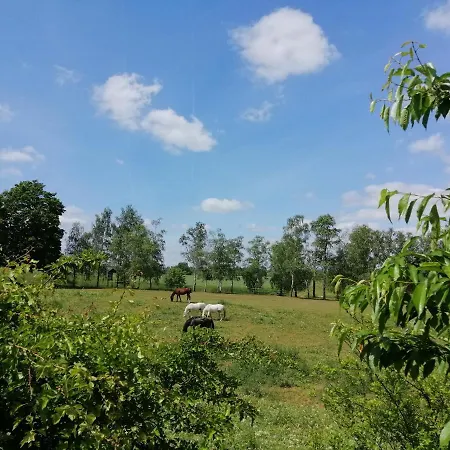 Premium-plus-ferienhaus Thiazi 펜션